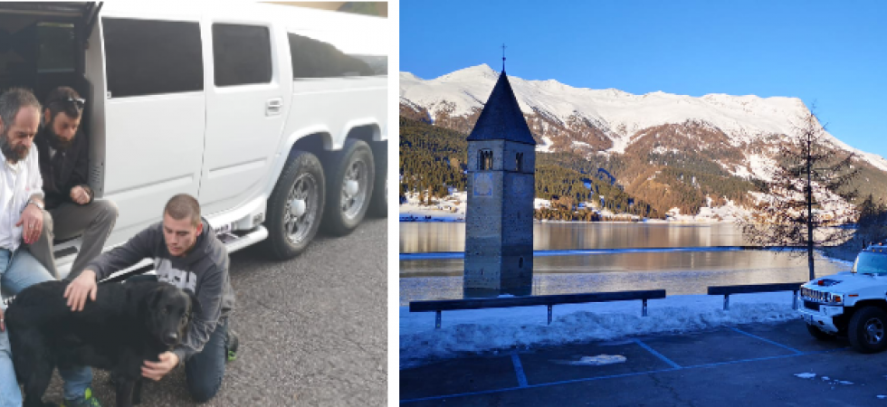In limousine per l'Alto Adige con il cagnolino Rocky: "Per far ridere la gente e poi compie dieci anni"